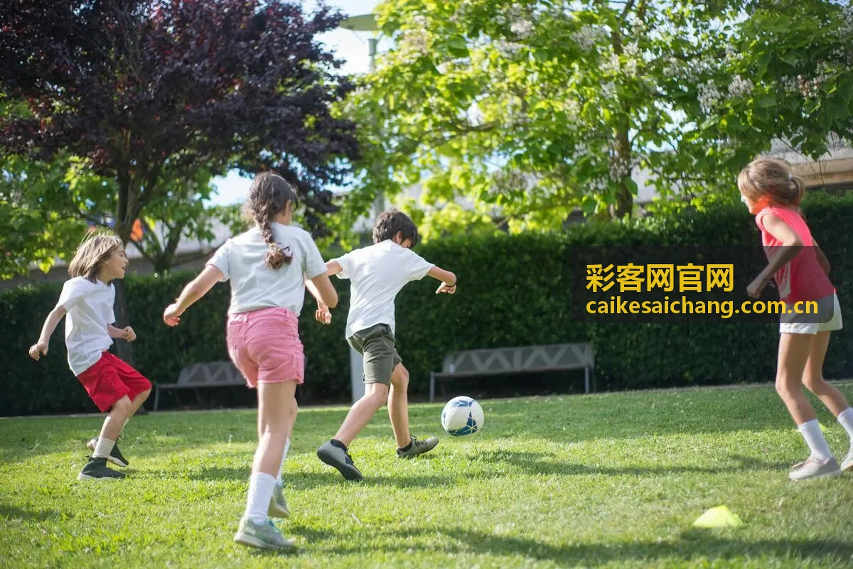 彩客网官网彩种导航场景