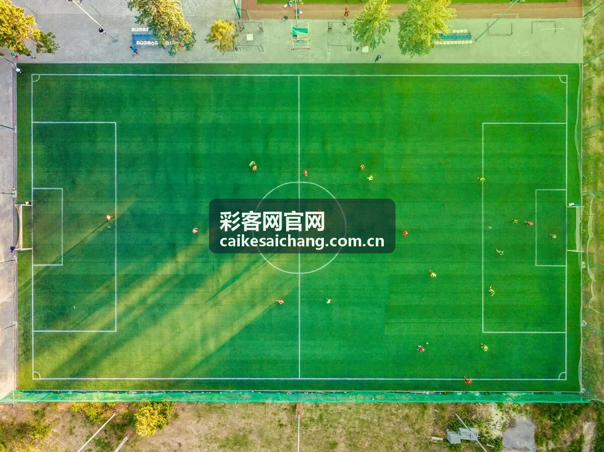 彩客网官网新闻资讯背景