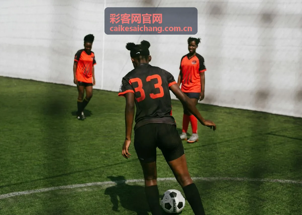 彩客网官网数据服务升级公告